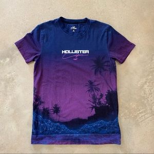 Men’s Hollister Tee (blue and purple)